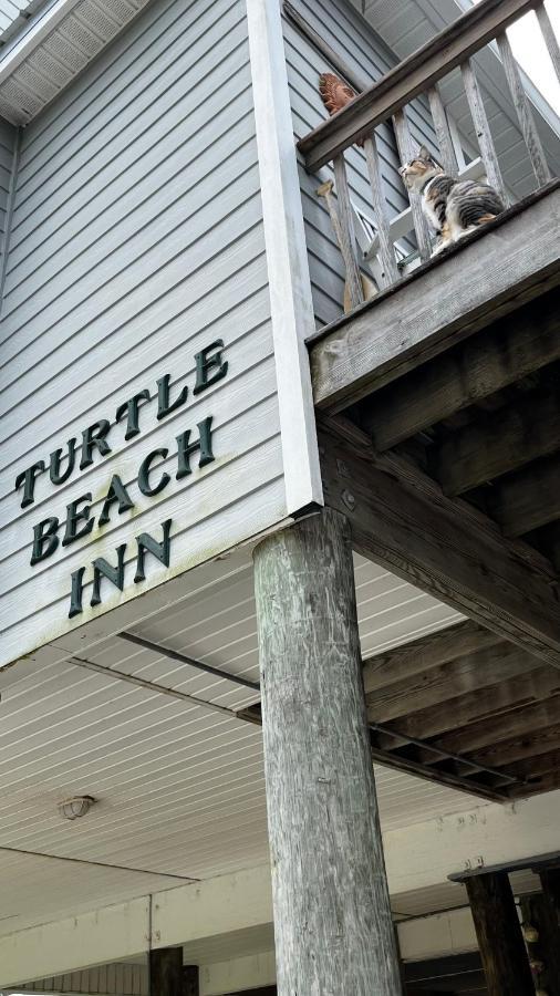 Turtle Beach Inn Indian Pass Ngoại thất bức ảnh